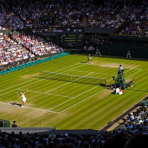 Tennis court where the tournament is held